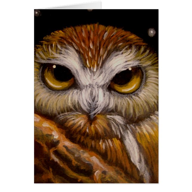 NORTHERN SAW-WHET OWL CARD (Front)