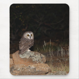 Northern Saw Whet Owl hunting at night Mouse Pad