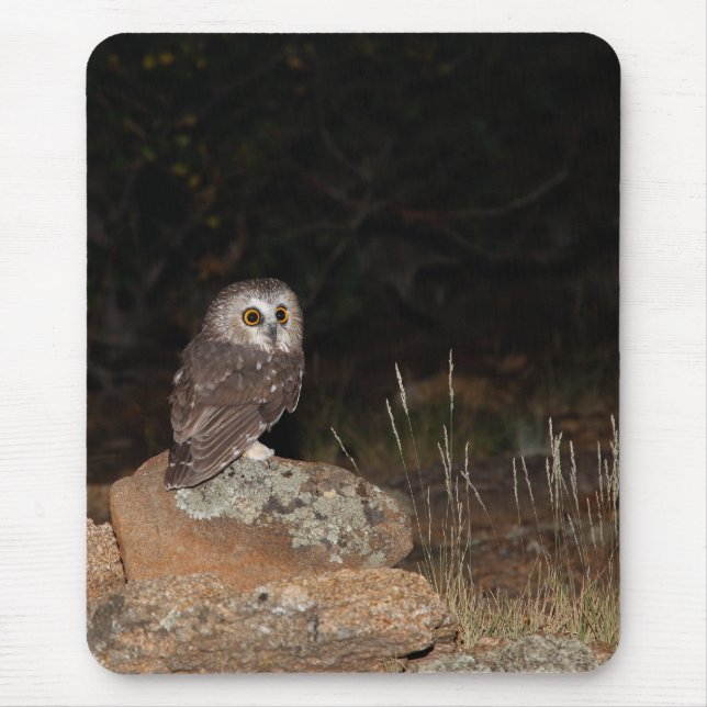 Northern Saw Whet Owl hunting at night Mouse Pad (Front)