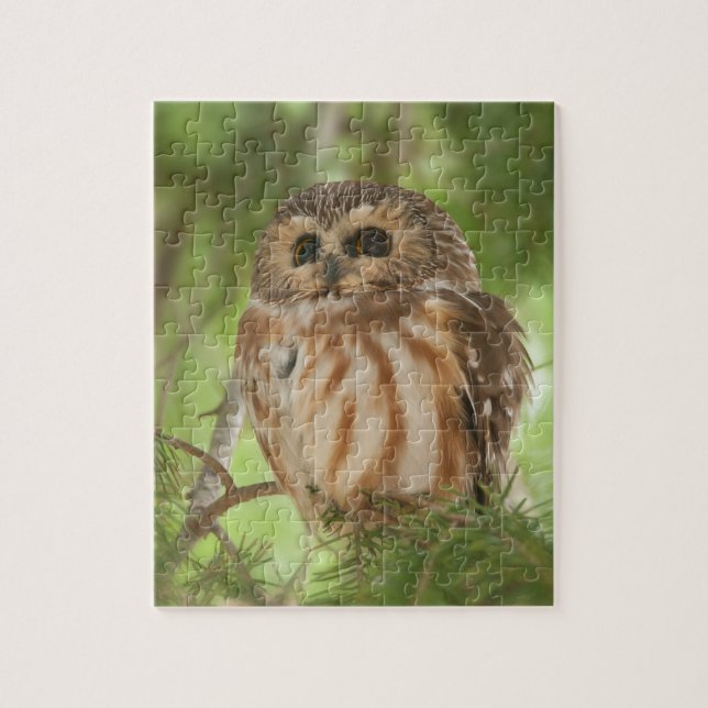 Northern Saw-whet Owl Jigsaw Puzzle (Vertical)