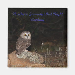 Northern Saw-whet Owl Night Hunting Magnet