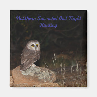 Northern Saw-whet Owl Night Hunting Magnet