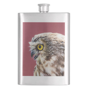 Northern Saw-Whet Owl Portrait Hip Flask