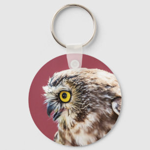Northern Saw-Whet Owl Portrait Key Ring