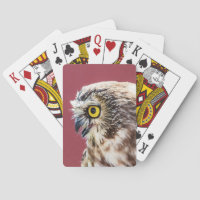 Northern Saw-Whet Owl Portrait