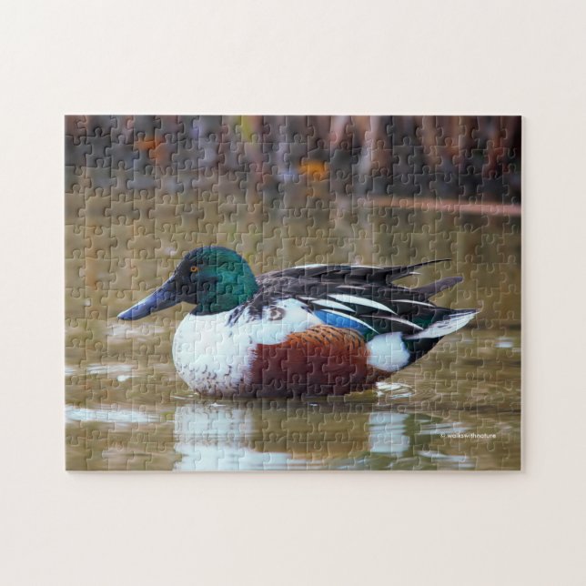 Northern Shoveler Duck at the Pond Jigsaw Puzzle (Horizontal)