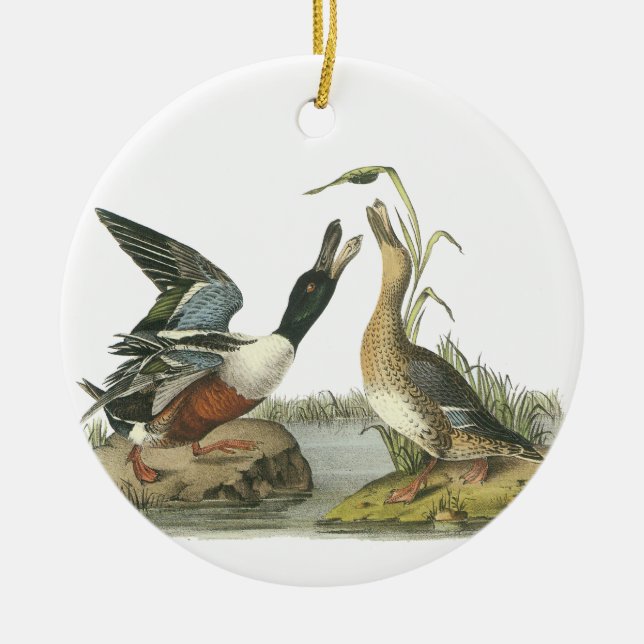 Northern Shoveler, John Audubon Ceramic Tree Decoration (Front)