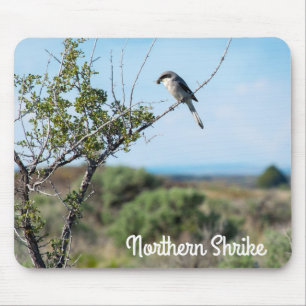 Northern Shrike Mouse Pad