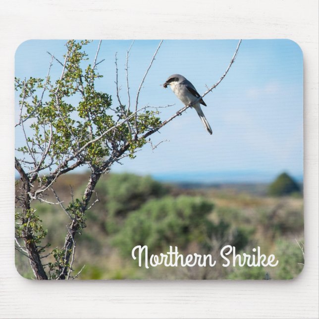 Northern Shrike Mouse Pad (Front)