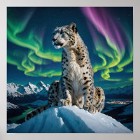 “Northern Sky Wanderer” – Snow Leopard Portrait