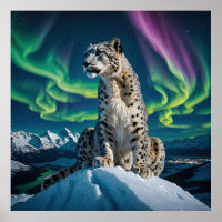 “Northern Sky Wanderer” – Snow Leopard Portrait