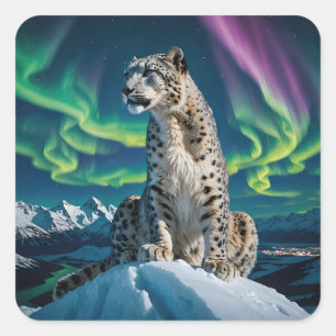 “Northern Sky Wanderer” – Snow Leopard Portrait Square Sticker