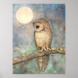 Northern Spotted Owl Fine Art Wildlife Poster