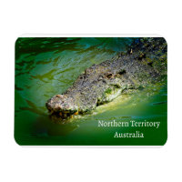 Northern Territory Saltwater Crocodile
