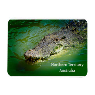 Northern Territory Saltwater Crocodile  Magnet