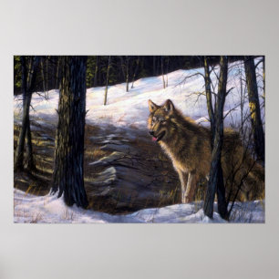 Northern Timber Wolf Poster