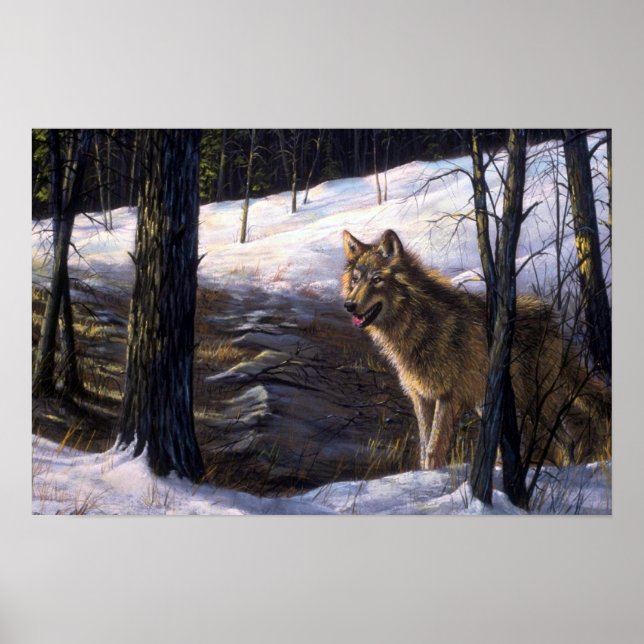 Northern Timber Wolf Poster (Front)