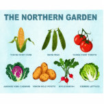Northern Vegetable Garden Photo Sculpture Magnet<br><div class="desc">A humourous take on gardening in places with cold climates such as Alaska, Minnesota and Canada. You can't grow everything, but try those illustrated here: Yukon Chief sweet corn, snow peas, Yukon Chief tomato, January King cabbage, Yukon Gold potato, Icicle radish, and Iceberg lettuce. Each is labelled and text reading,...</div>