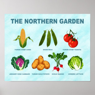 Northern Vegetable Garden Poster