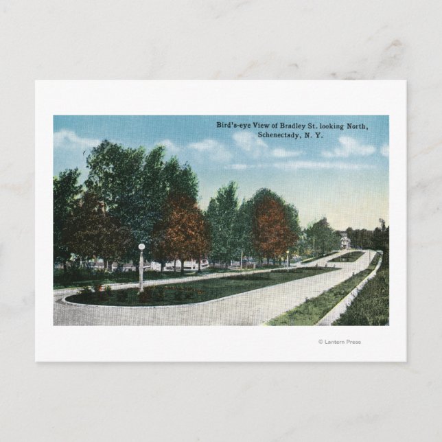 Northern View of Bradley Street Postcard (Front)