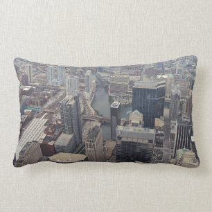 Northern View Of Chicago From Sears Tower Lumbar Cushion