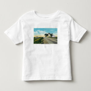 Northern View of Saratoga Battlefield Toddler T-Shirt