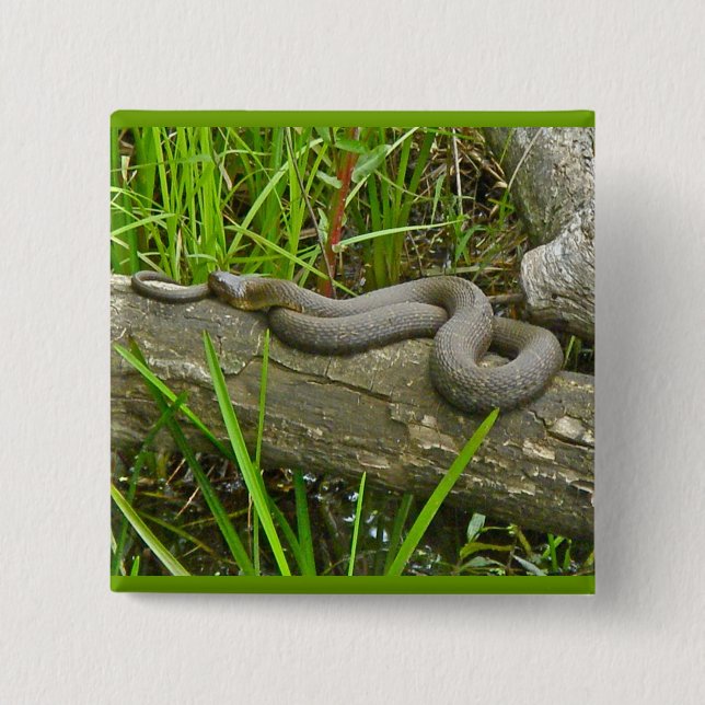Northern Water Snake Basking on Log Multiple Items 15 Cm Square Badge (Front)