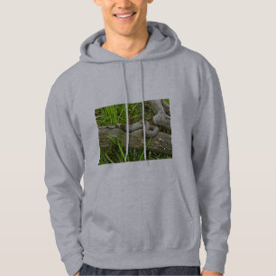 Northern Water Snake Basking on Log Multiple Items Hoodie