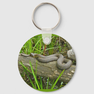Northern Water Snake Basking on Log Multiple Items Key Ring