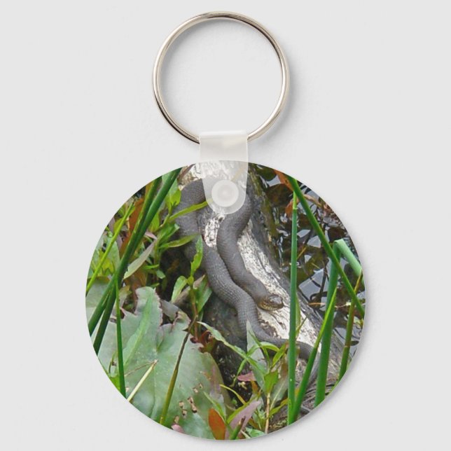 Northern Water Snake Basking on Log Multiple Items Key Ring (Front)