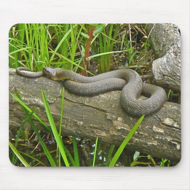 Northern Water Snake Basking on Log Multiple Items Mouse Pad (Front)