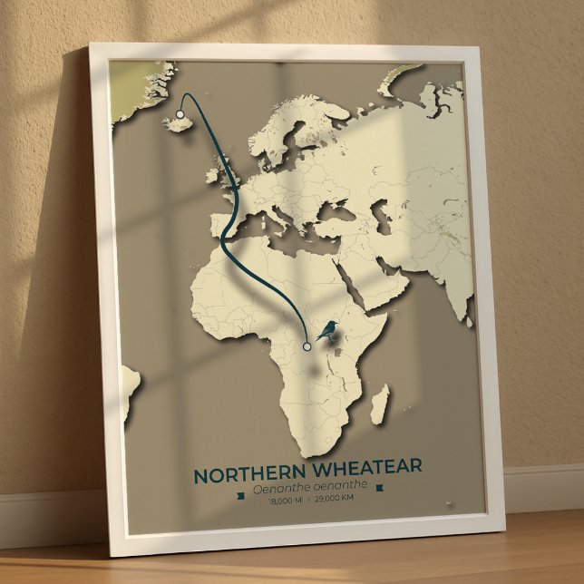 Northern Wheatear Migration Map – Minimalist Poster (Creator Uploaded)
