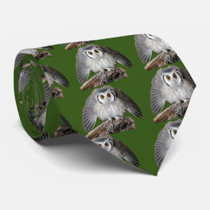 Northern White-faced Owl Tie