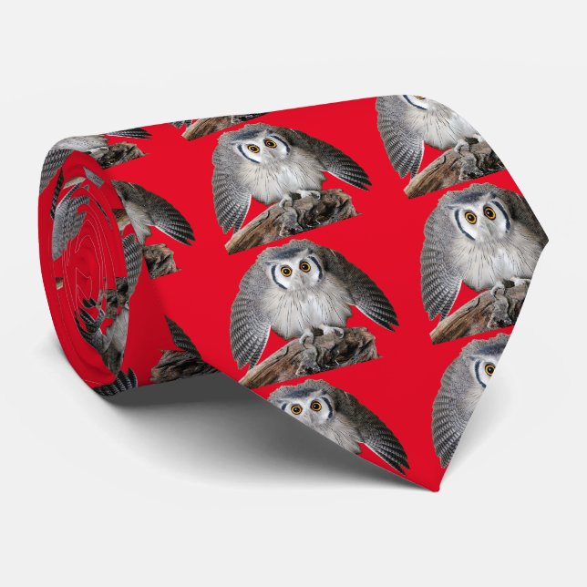 Northern White-faced Owl Tie (Rolled)