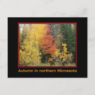 Northland in Autumn Postcard