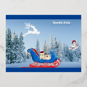 NorthPole Holiday Postcard