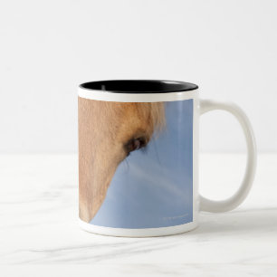 Northumberland, England 2 Two-Tone Coffee Mug