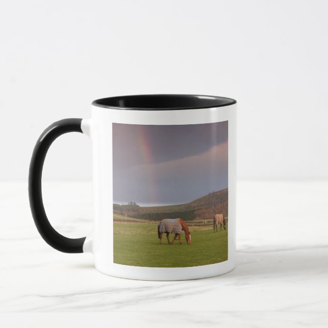 Northumberland, England Mug (Left)