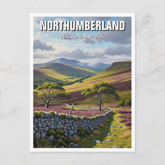 Northumberland National Park England Postcard (Front)