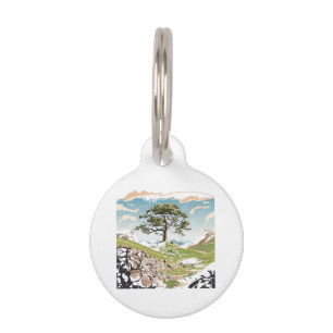 Northumberland National Park Sycamore Gap Tree Pet Tag