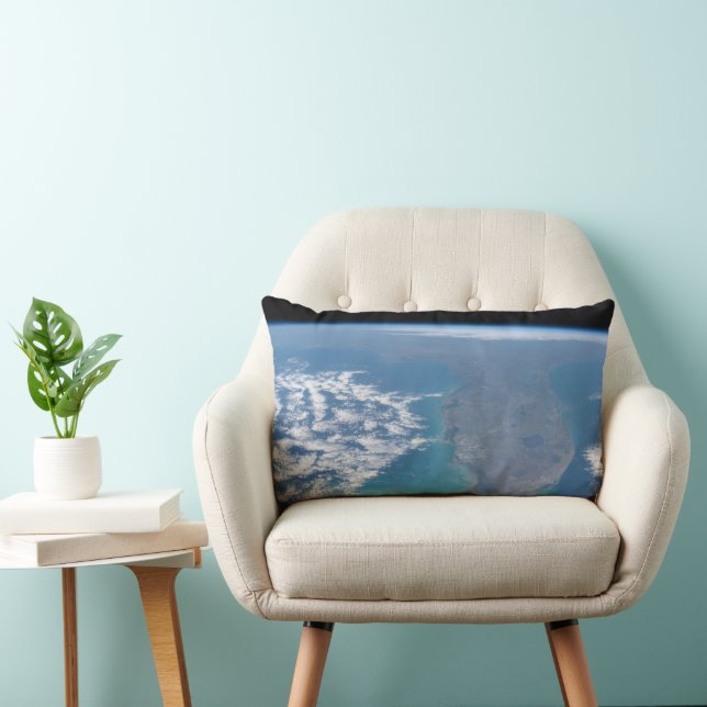 Northward The Florida Peninsula. Lumbar Cushion (Chair)