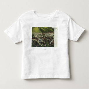 Northwestern Aerial View of TownWallace, ID Toddler T-Shirt