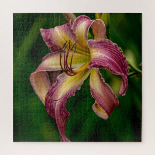 Northwind Dancer Daylily Jigsaw Puzzle