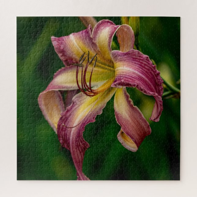 Northwind Dancer Daylily  Jigsaw Puzzle (Vertical)