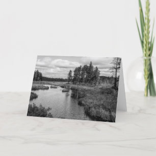 Northwoods Lake Greeting Card