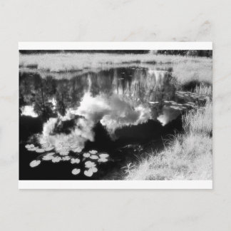 Northwoods Lake with beautiful reflected Landscape Postcard