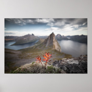 Norway Landscape Poster