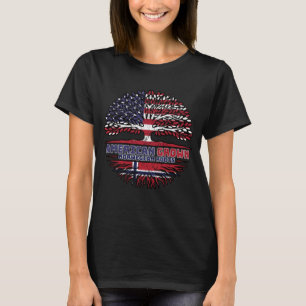 Norway Norwegian US American USA United States T-Shirt