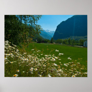 Norway spring flowers poster
