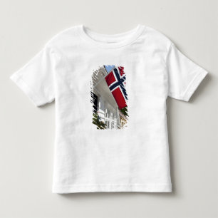 Norway, Stavanger. Historic downtown views. Toddler T-Shirt